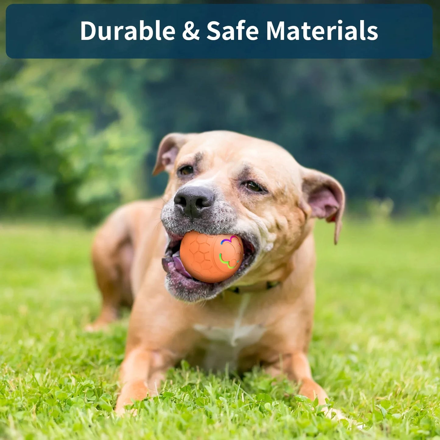 USB Smart Rolling Pet Toy Ball with RGB Lights – For Dogs & Cats