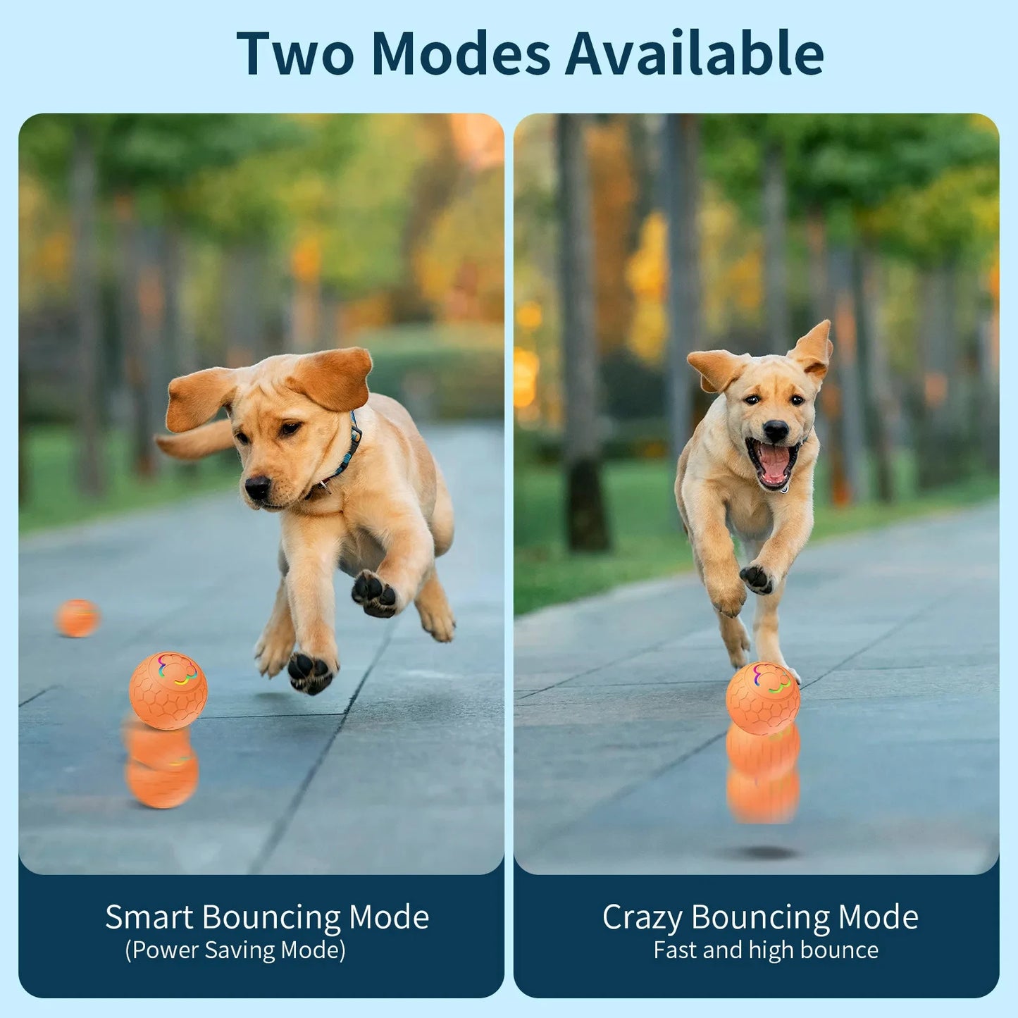 USB Smart Rolling Pet Toy Ball with RGB Lights – For Dogs & Cats